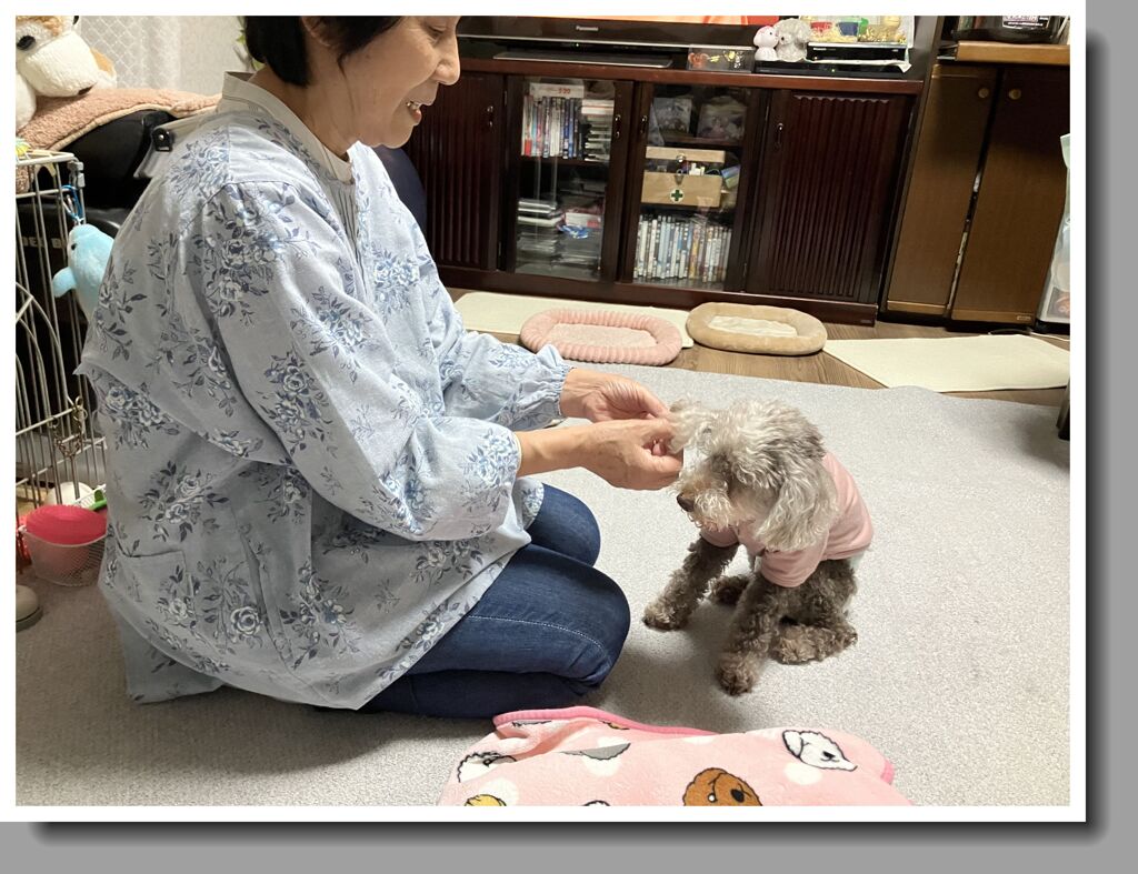 ほんの少し回復しました。