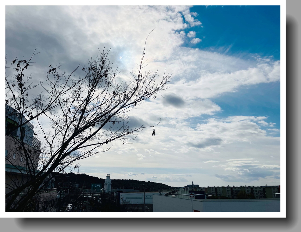 冬の空