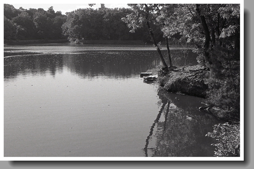へら台のある野池