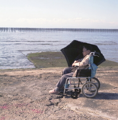 海苔杭の浜と日傘の母