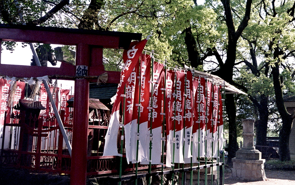 白明龍神