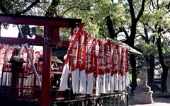 白明龍神