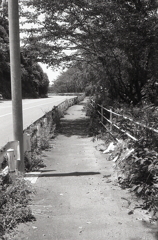 湖岸の歩道