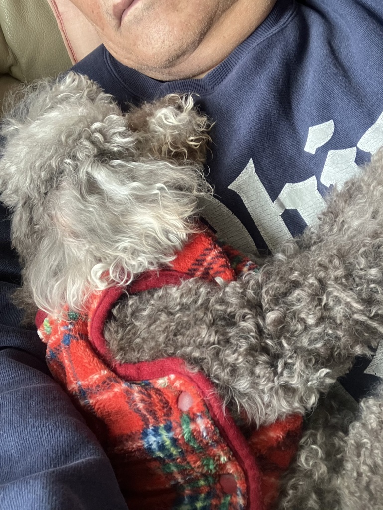 もう身動きできません。(笑