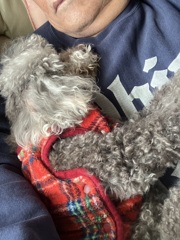 もう身動きできません。(笑