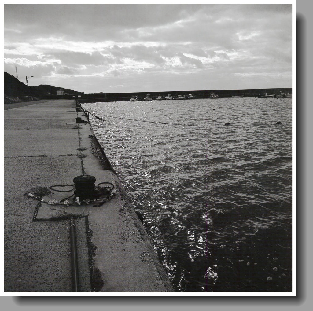 ボラード並ぶ港の風景