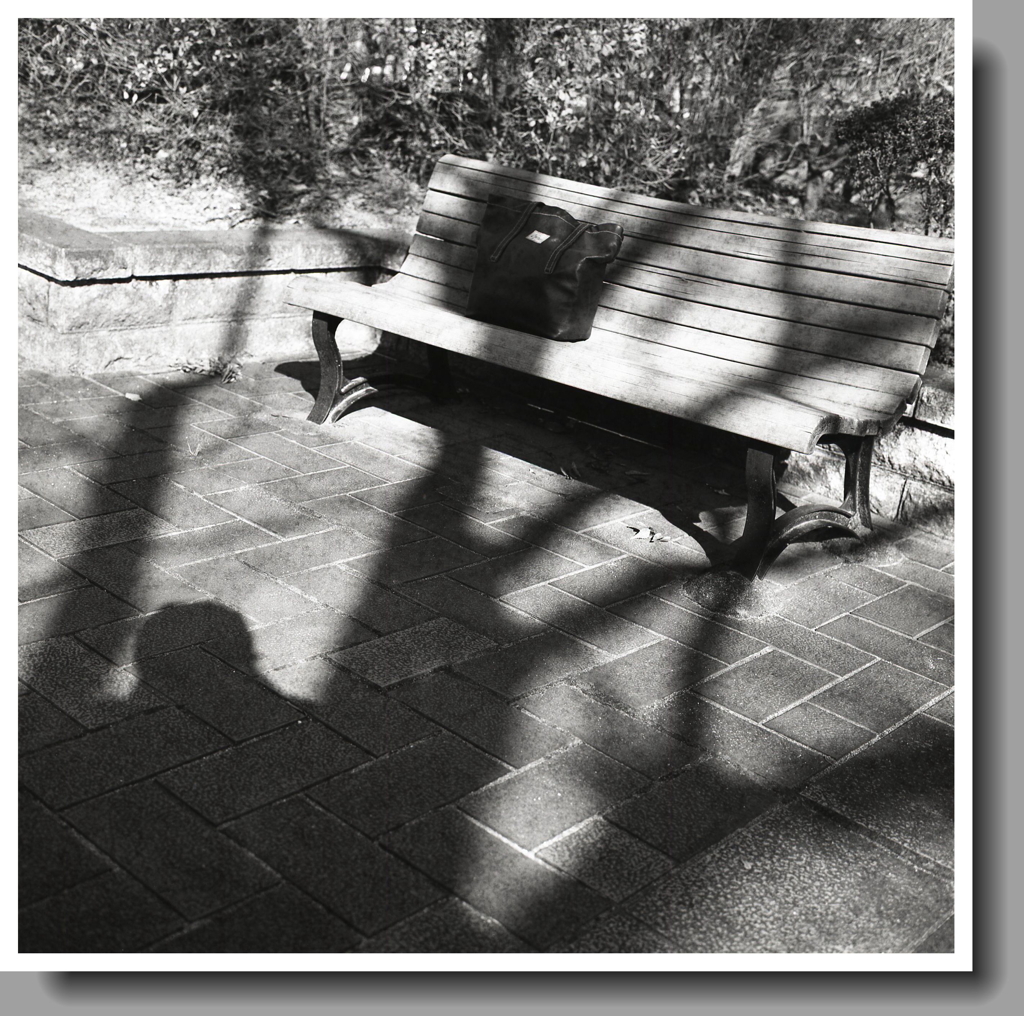 ベンチに垂れる樹木と私の影