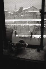 窓は二月の雪景色