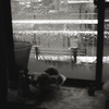 窓は二月の雪景色