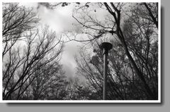 晩秋の小さな公園