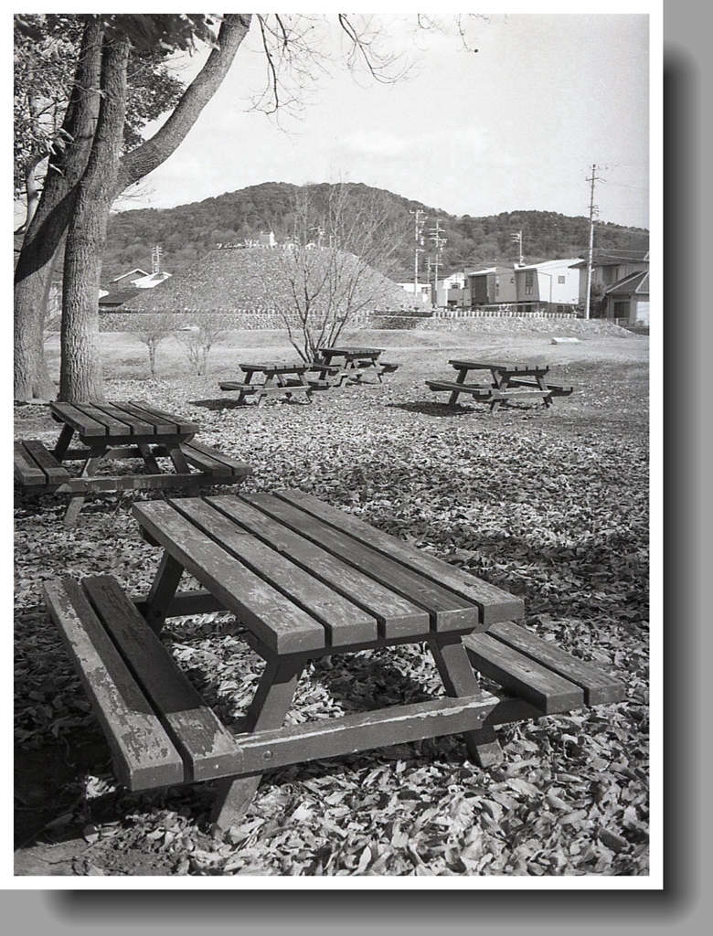 遠く東谷山、そして前方後円墳