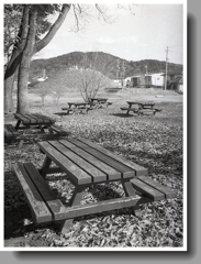 遠く東谷山、そして前方後円墳