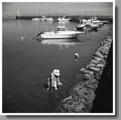 知多河和港九月の風景