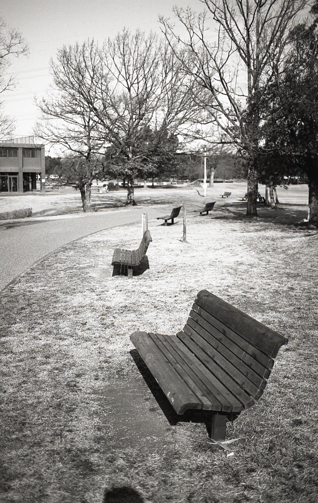 縦写の公園ベンチ