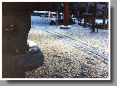 黄色散りばめた石参道