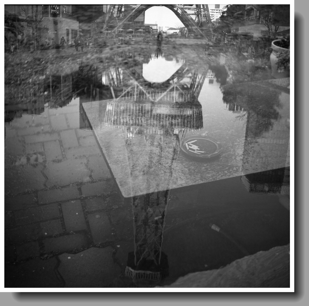 「な、なんじゃこりゃ～！」優作、どげんしたと！