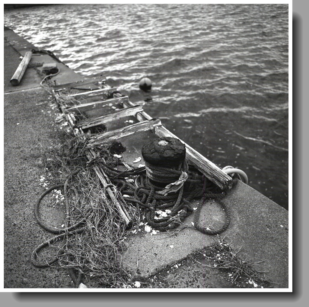 潮風に錆び朽ちるボラード