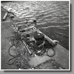 潮風に錆び朽ちるボラード