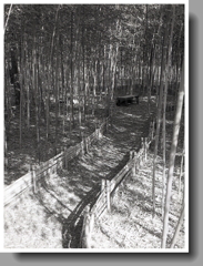 たけるの小径を歩く…