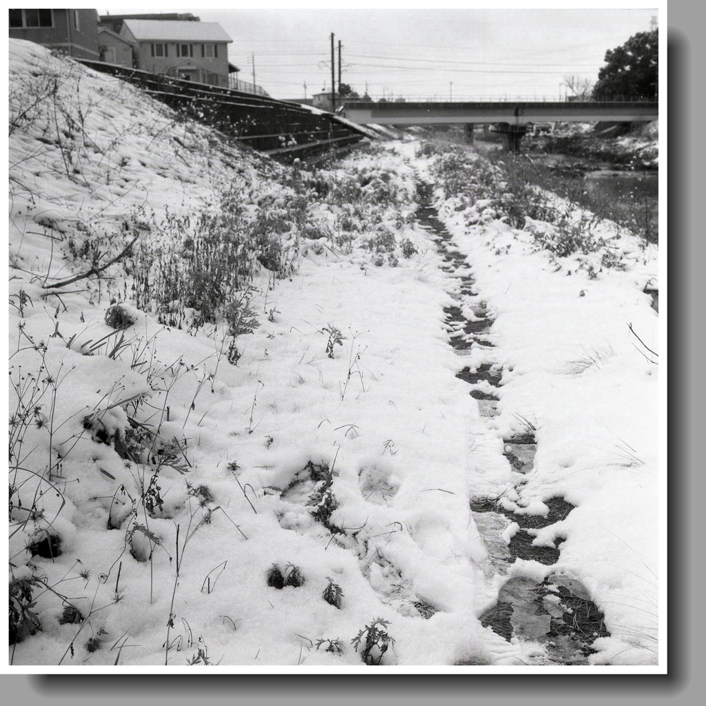 カメラマンの足跡