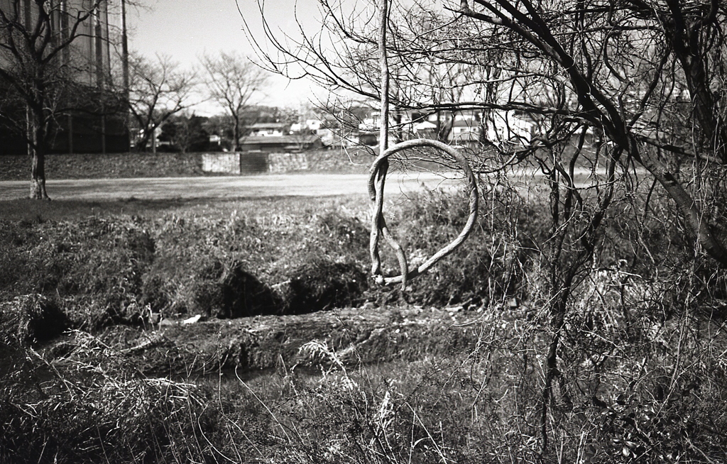 もう少し生かしてくれよ。（苦笑