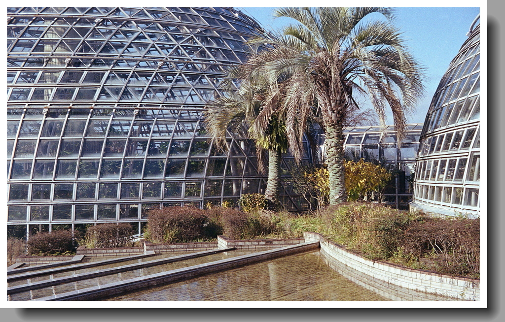 大きなドームの温室　～東谷山フルーツパーク