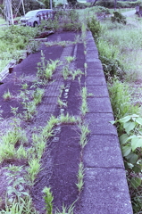 残された竹鼻線ホーム