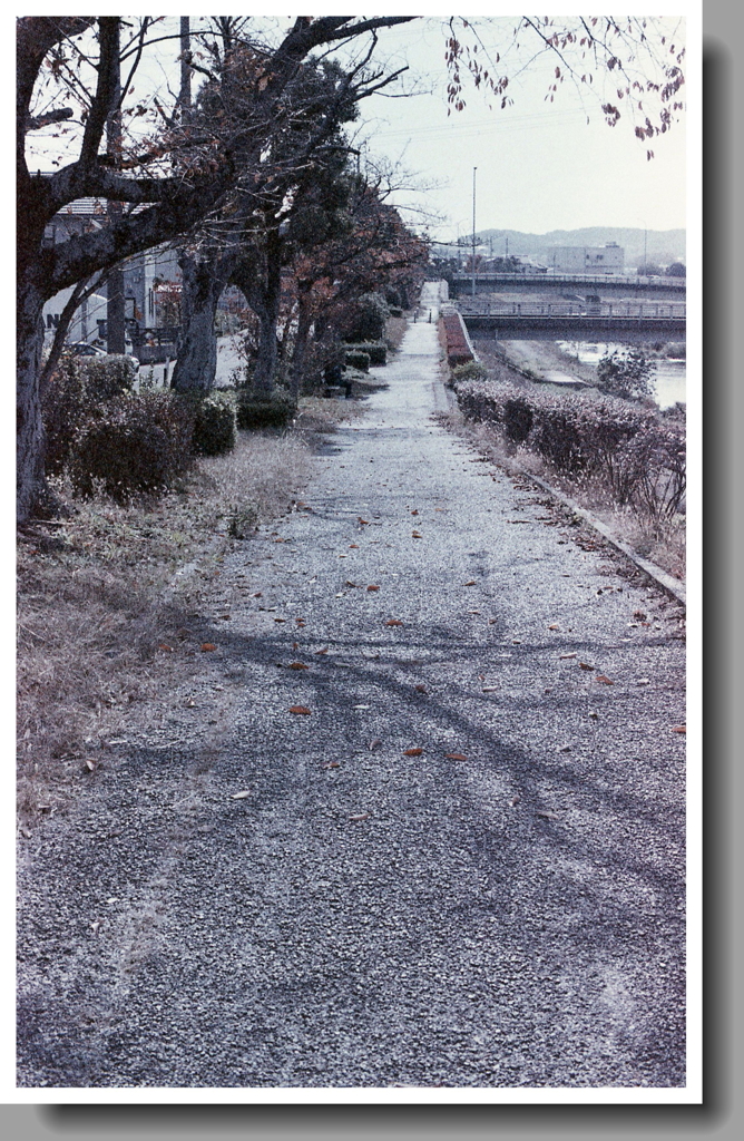 内津川の散歩道