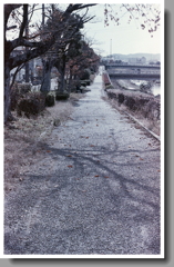 内津川の散歩道