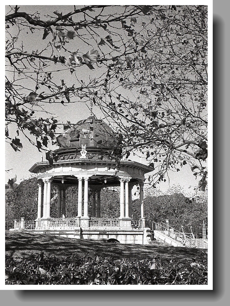 木々の向こうに奏楽堂