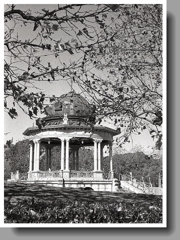 木々の向こうに奏楽堂