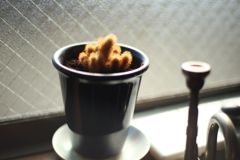 朝起きて煙草吹かしながらのいつものアングル