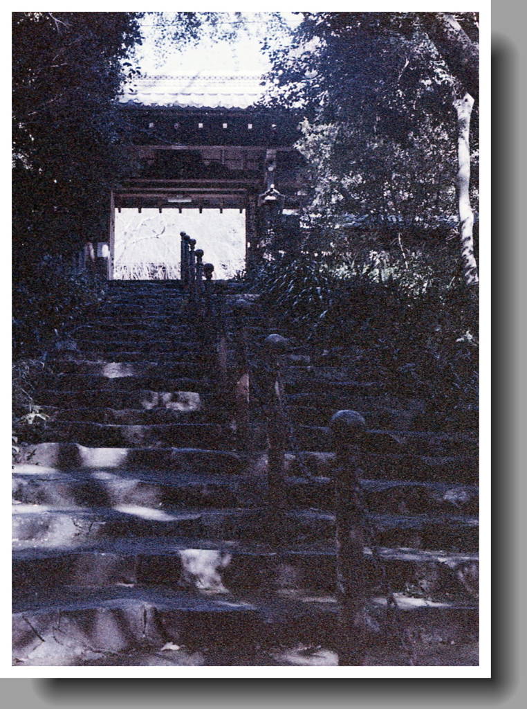 山門が見えた、ふぅ…