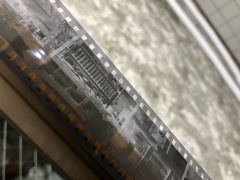 約三十分後…なんか写っとるがや。（笑