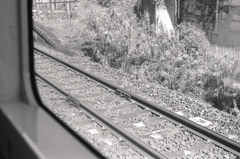 車窓の鉄路