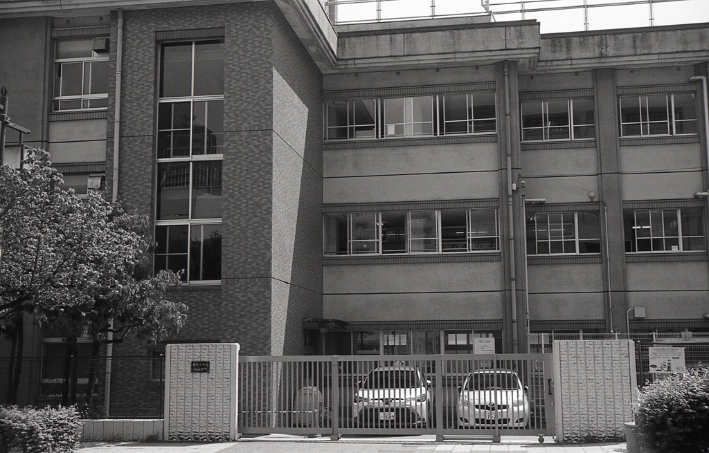 なんか昔っぽい東桜小学校