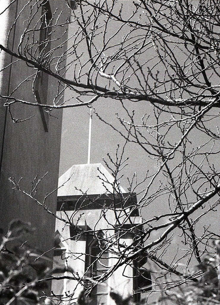 春先の枯枝と尖塔