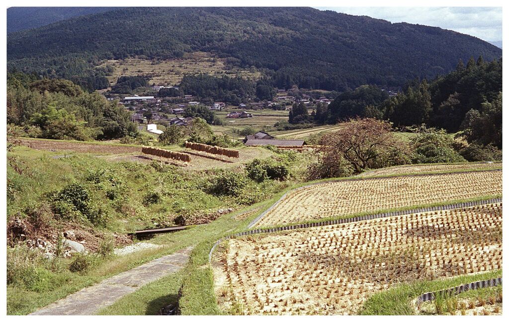 はざかけのある棚田の秋風景 Ⅱ             