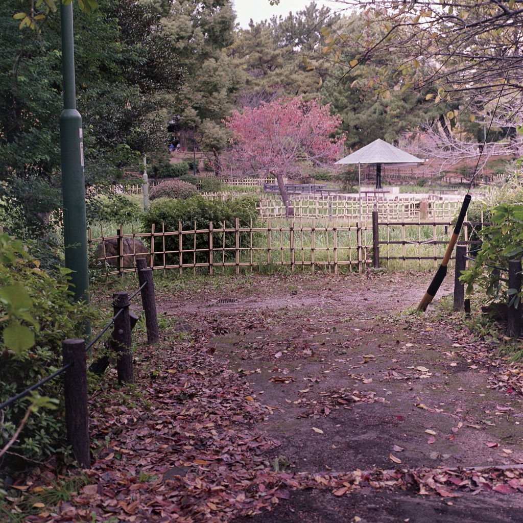 竹垣のある道