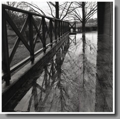 木床に滲む水鏡