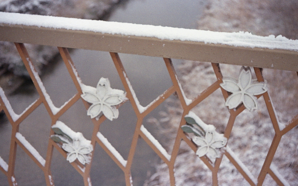 欄干の雪さくら