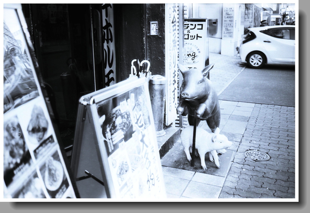 ハイキーなブタ