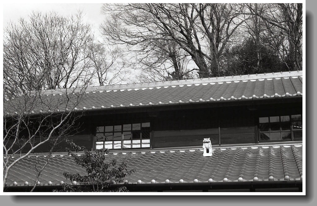 瓦屋根にシーサー像