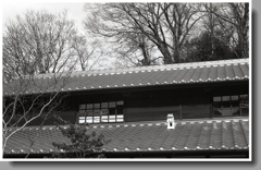 瓦屋根にシーサー像