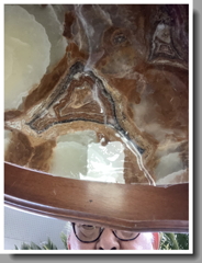 家政夫は見た…