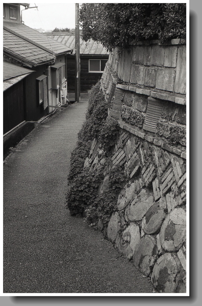 あるく細道のつづき…