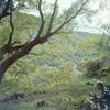 緑を撮る写真家