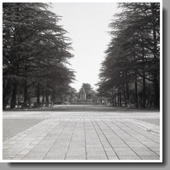 鶴舞公園正面の広小路