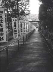 長く下る参道