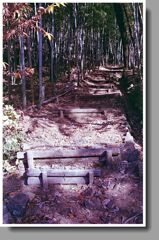 竹林へ進む坂道